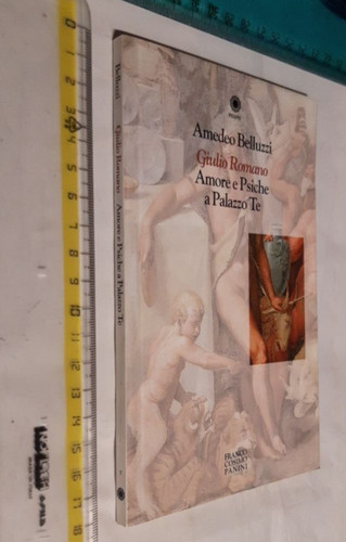 Amedeo belluzzi giulio romano - amedeo,