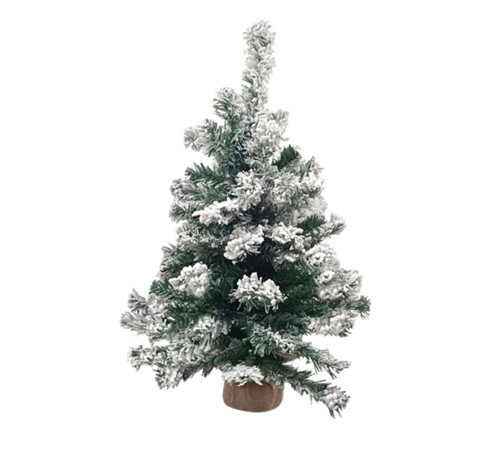 Albero innevato con piede - innevato,