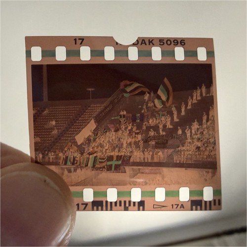 Negativo fototifo ultras photo