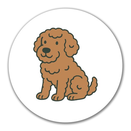 Adesivo lagotto romagnolo - adesivo,