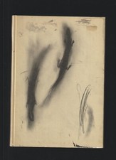 PIERO PIZZI CANELLA GALERIE TRIEBOLD BASILEA 1986/87