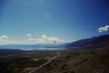 Vintage 35mm Photo Slide Man