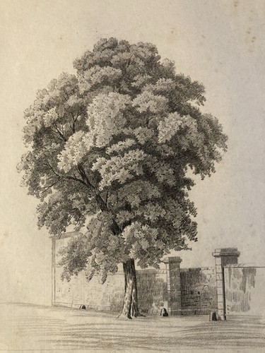 Grande disegno xix 1850 matita - xix,