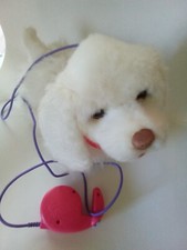 Pelliccia Real Friends cane