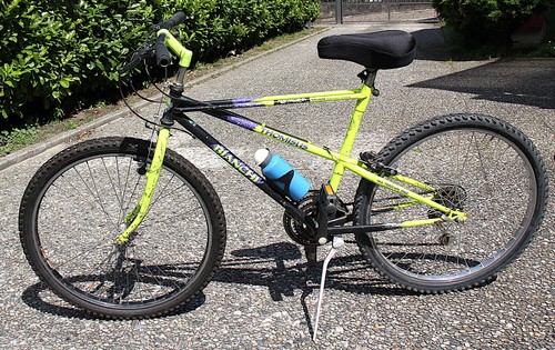 Bianchi thomisus mountain - bianchi, -mountain