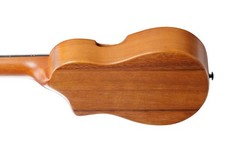 IBANEZ AUP10NOLB CHITARRE CLASSICHE