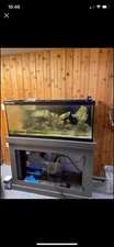 Aquarium and Supplies for a