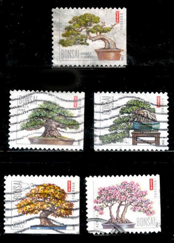Set francobolli bonsai - francobolli,