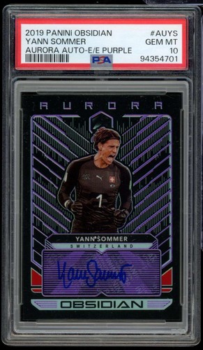 Yann sommer card 2019 - sommer,