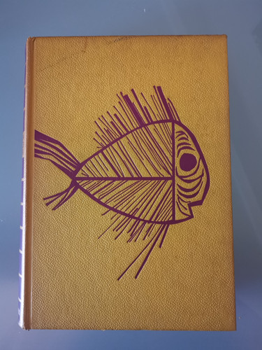 Enciclopedia dei ragazzi - enciclopedia,