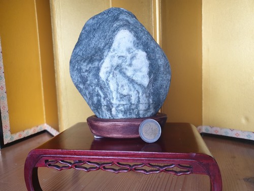 Suiseki pietra disegnata - suiseki,,