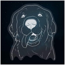 'Golden Retriever Face' Static