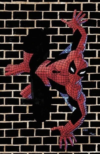 Amazing spider man - spider-man, 15
