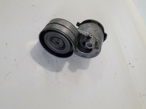Cinghia tenditore renault - cinghia,