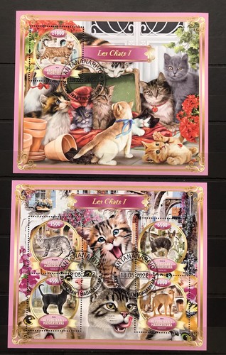Cats gatos chats koty - gatos, /