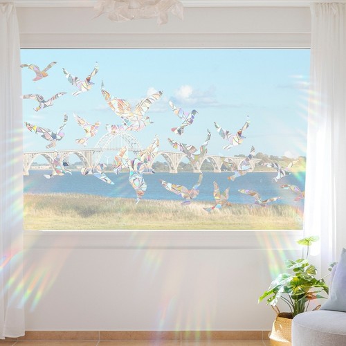 Pezzi colomba olografica - 6,
