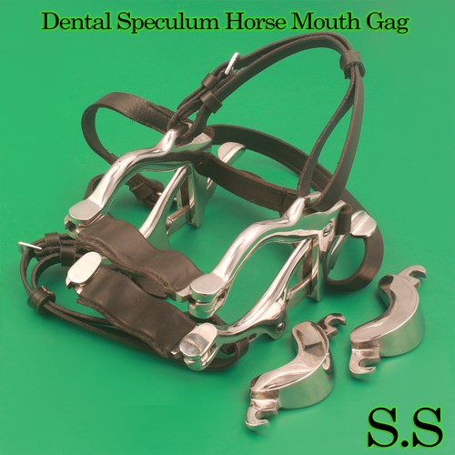 Speculum dentale equino pony