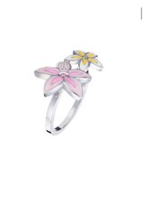 ALVIERO MARTINI  PRIMA CLASSE