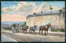 Genova Città Circonvallazione a Mare Carretto Cavalli cartolina QZ5067