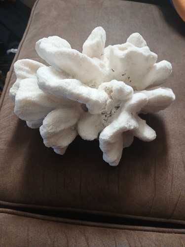 Antique vintage large white - antique,