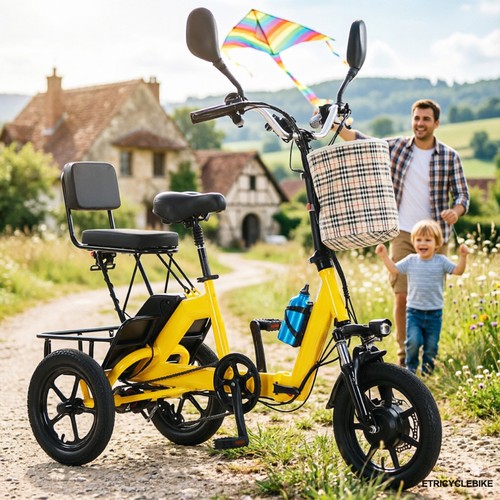 Bicicletta elettrica - bicicletta,