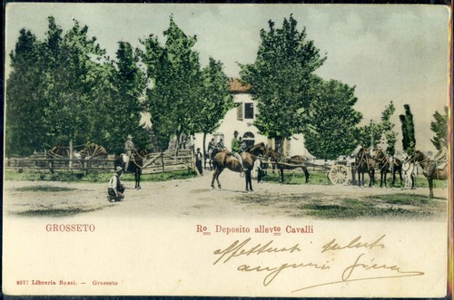 1900 grosseto regio - grosseto,