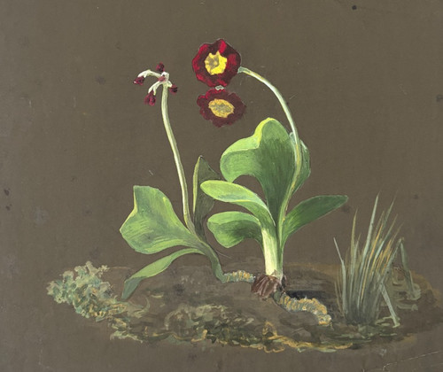 Fiore floreale natura morta - floreale,,