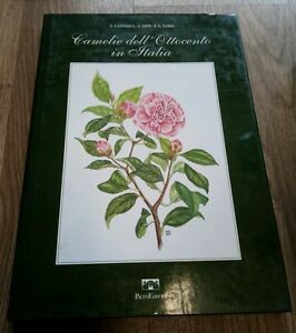 Camelie dell ottocento - camelie, dell'ottocento
