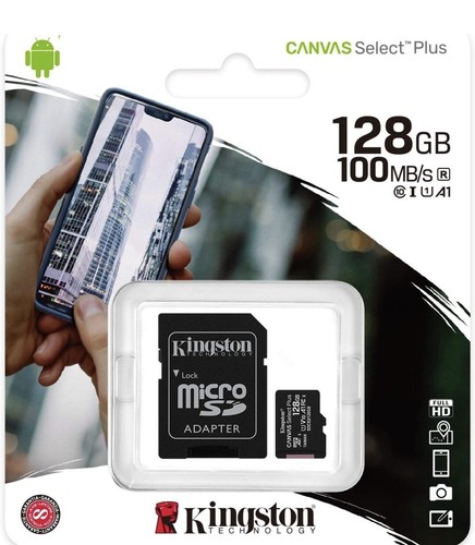 Kingston canvas select - kingston,