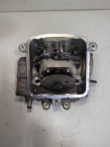 Testata cilindro peugeot - testata,