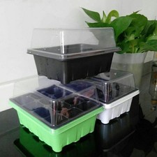  Starter Kit 12 Vassoi Cellule