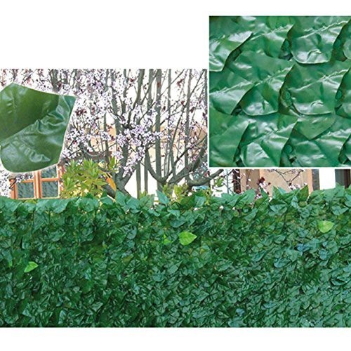 Arella siepe finta 1x3 - arella,
