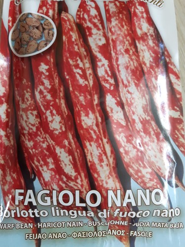Semi sementi fagiolo nano - semi,