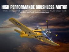 Volantex T28 Trojan RC Plane