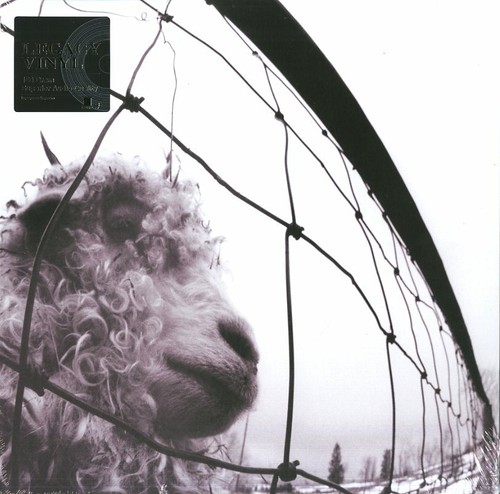 Pearl jam lp - pearl,