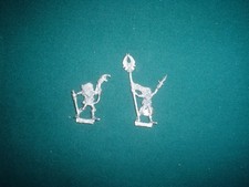 WOOD ELF STANDARDBEARER & HORN