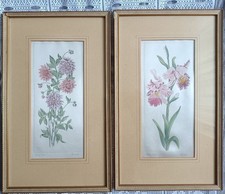 2x Cornici Vintage ERLO Fiori