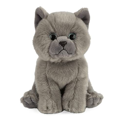 Living nature gattino grigio - nature,