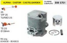 CILINDRO E PISTONE TAGLIASIEPI ALPINA CASTOR CASTELGARDEN TS25 ts 25 Ø 33 mm