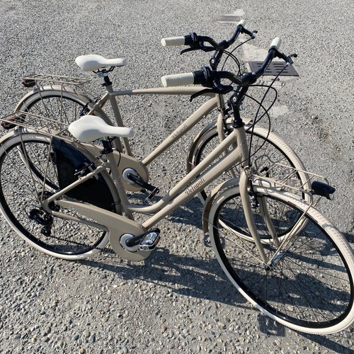 Coppia biciclette city - biciclette,