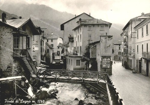 Eo474 cartolina ponte legno - di,