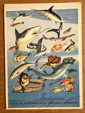 Quaderno di scuola vintage