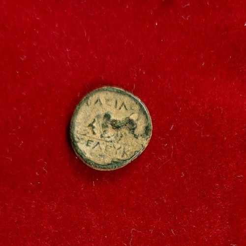 Moneta seleuco nicatore - moneta,