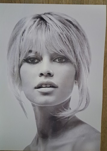 Brigitte bardot face - bardot,