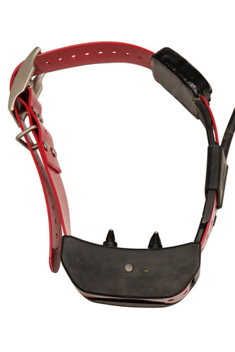 Collare elettrico sportdog tek - collare,