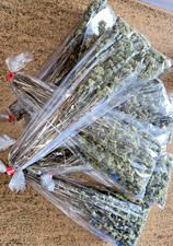 MAZZI 10 MAZZETTI ORIGANO