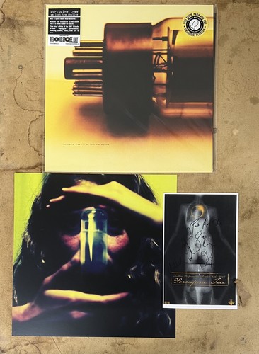 Porcupine tree lost - porcupine,