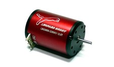 LEOPARD RC Modello 3650 13.5T