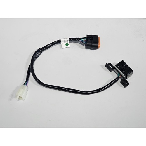 Cablaggio centralina obd - cablaggio,
