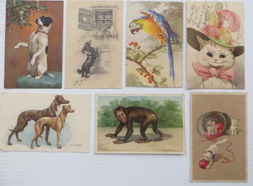 1900 1930 lotto cartoline a - 1900/1930,